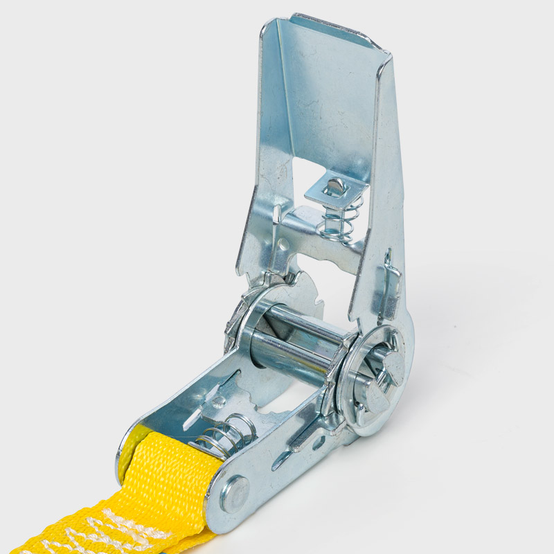 Zurrgurt RG800N mit Druckratsche