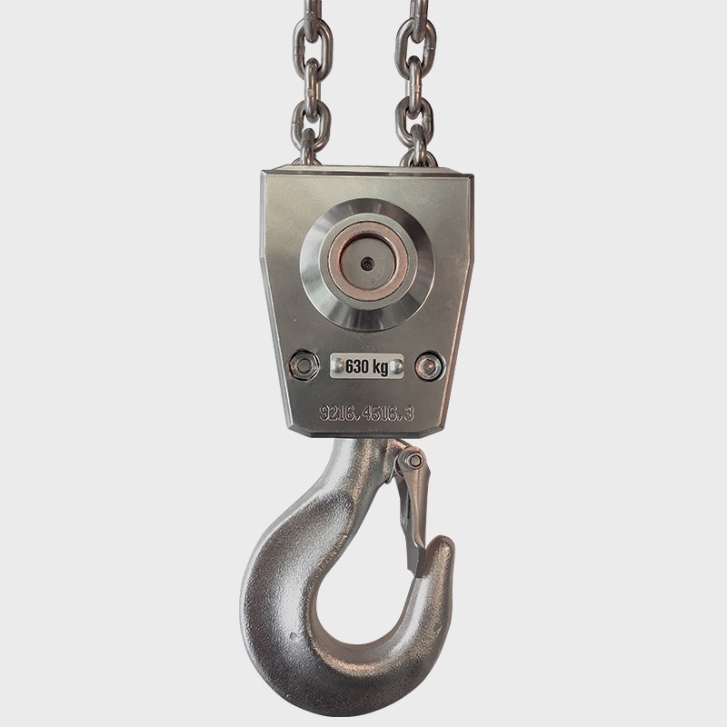 Elektrokettenzug PEH-R Traghaken 2-Strang Edelstahl