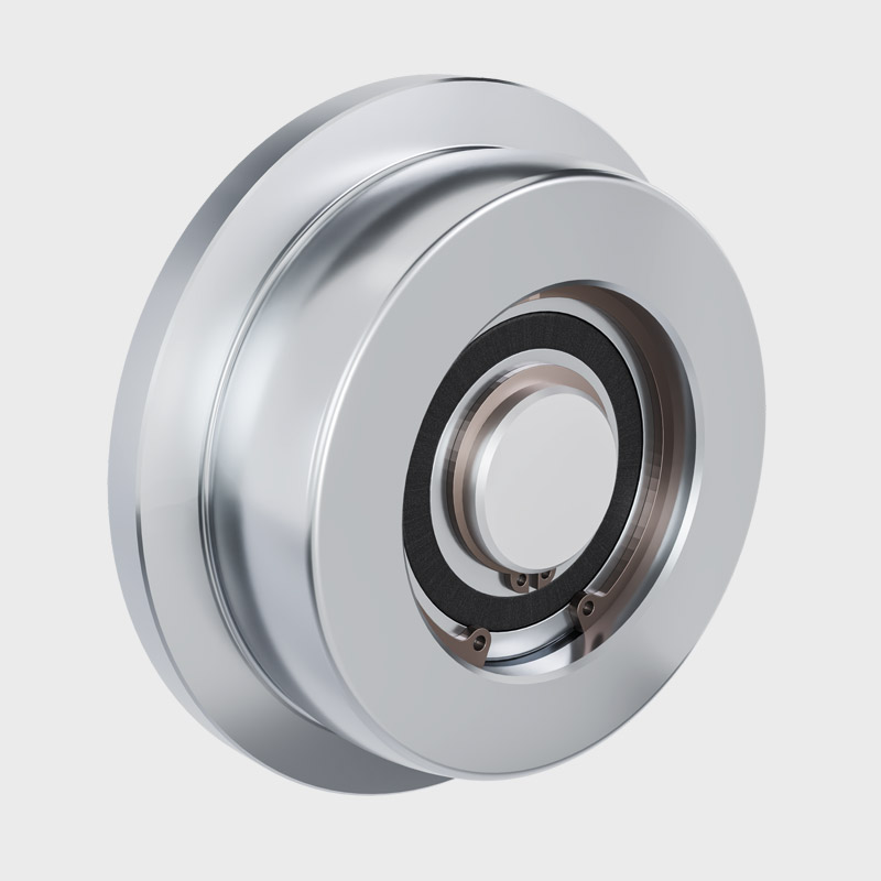 PRO-Laufräder ohne Zahn Durchmesser 100 mm